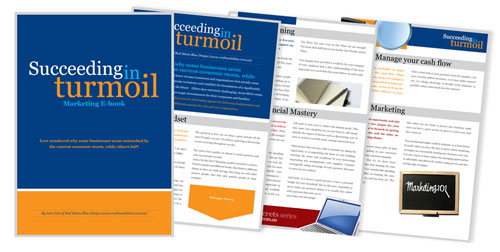 Succeeding in Turmoil, a Marketing E-Book Succeeding in Turmoil, a Marketing E-Book