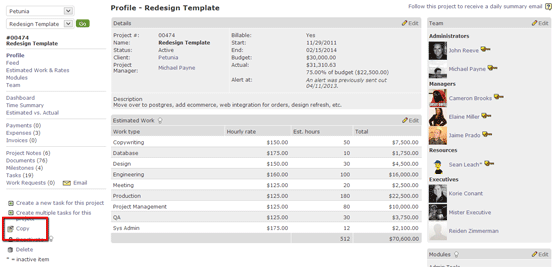 project profile template