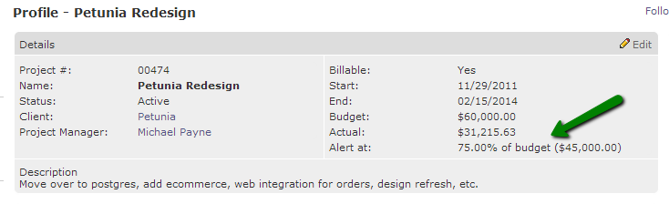 Project Budget Alert