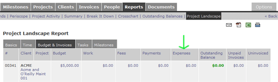 Project Landscape Report - Expenses Column