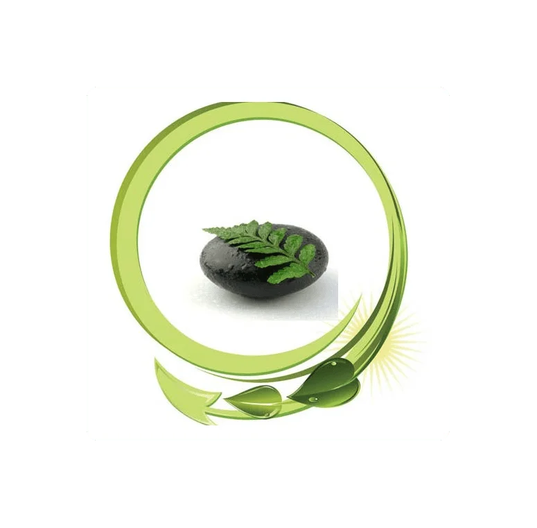 Clark Land Design landscape architecture team