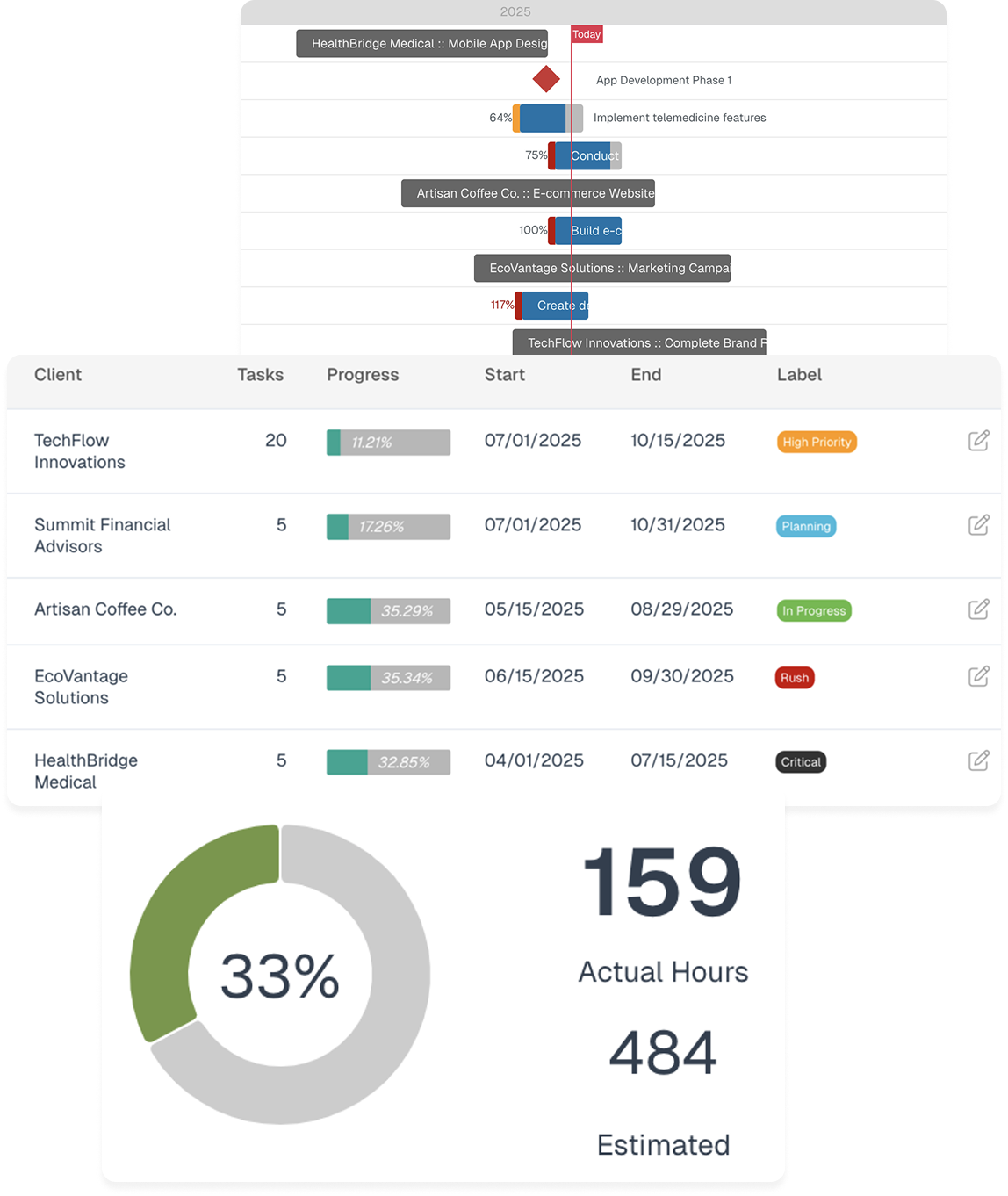 Project management interface for professional services automation